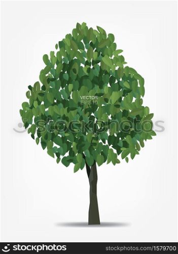 Abstract tree on white background for landscape design and architectural decoration. Vector illustration.