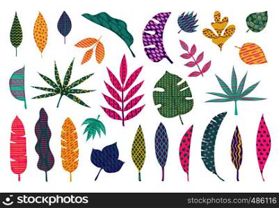 Abstract tropical leaves. Leaf summer tribal elements, trendy abstract palm leaves, modern floral design elements. Vector hand creative illustration leaf set. Abstract tropical leaves. Leaf summer tribal elements, trendy abstract palm leaves, modern floral design elements. Vector leaf set