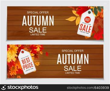 Abstract Vector Illustration Autumn Sale Background with Falling Autumn Leaves. EPS10. Abstract Vector Illustration Autumn Sale Background with Falling