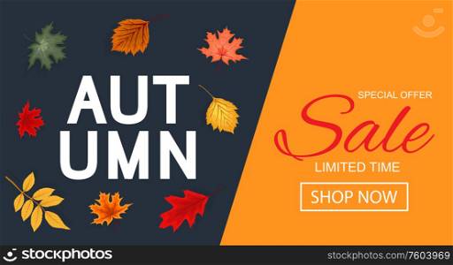 Abstract Vector Illustration Autumn Sale Background with Falling Autumn Leaves. EPS10. Abstract Vector Illustration Autumn Sale Background with Falling Autumn Leaves