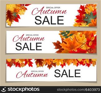 Abstract Vector Illustration Autumn Sale Banner Background with Falling Autumn Leaves. Abstract Vector Illustration Autumn Sale Banner Background with