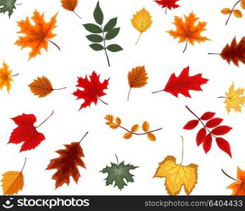 Abstract Vector Illustration Background with Falling Autumn Leaves. EPS10. Abstract Vector Illustration Background with Falling Autumn Leav