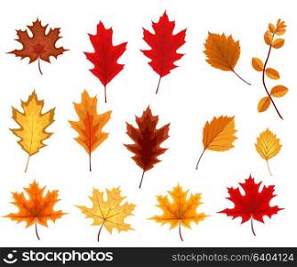 Abstract Vector Illustration with Falling Autumn Leaves. EPS10. Abstract Vector Illustration with Falling Autumn Leaves