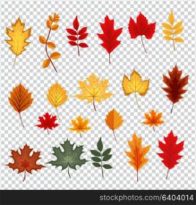 Abstract Vector Illustration with Falling Autumn Leaves on Transparent Background. EPS10. Abstract Vector Illustration with Falling Autumn Leaves on Trans