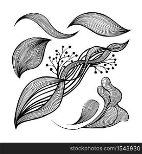 Abstract waves black and white line art decoration set for wallpaper and wall art design. Use for laser cutting. Modern contour drawign elements wavy collection. Abstract waves black and white line art decoration set for wallpaper and wall art design. Use for laser cutting.