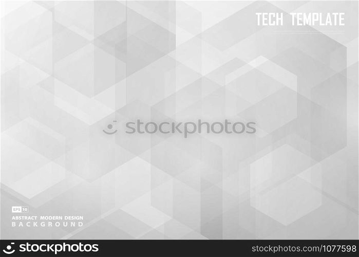 Abstract white and gray hexagonal design of decoration background. Use for ad, poster, artwork, template design. illustration vector eps10