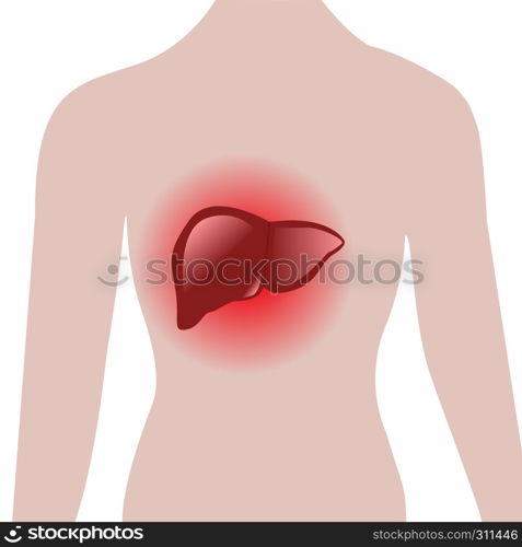 aching liver in a human body vector illustration