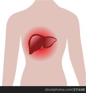 aching liver in a human body vector illustration