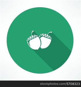 acorn icon. Flat modern style vector illustration