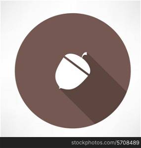 acorn icon. Flat modern style vector illustration