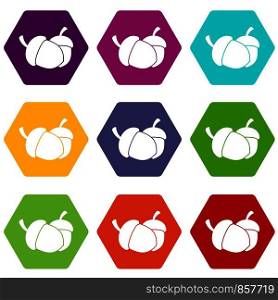 Acorn icon set many color hexahedron isolated on white vector illustration. Acorn icon set color hexahedron