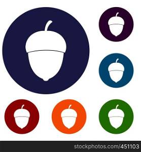Acorn icons set in flat circle reb, blue and green color for web. Acorn icons set