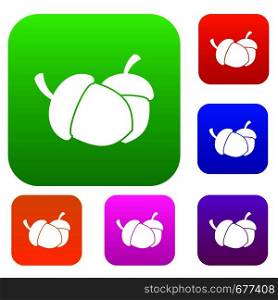 Acorn set icon in different colors isolated vector illustration. Premium collection. Acorn set collection