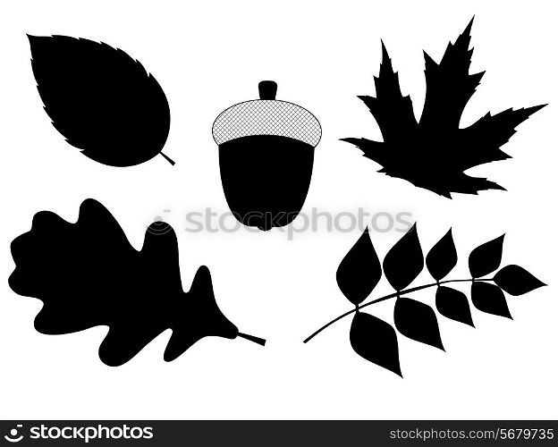 Acorn with Leaves Vector Silhouette Illustration. EPS10