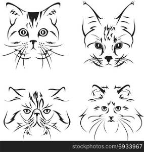 adorable cat sketch. adorable cat sketch vector