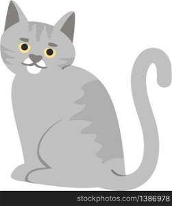 Adorable gray cat semi flat RGB color vector illustration. Smiling grey kitten, cute domestic animal isolated cartoon character on white background. Funny kitty, fluffy pet, feline friend. Adorable gray cat semi flat RGB color vector illustration