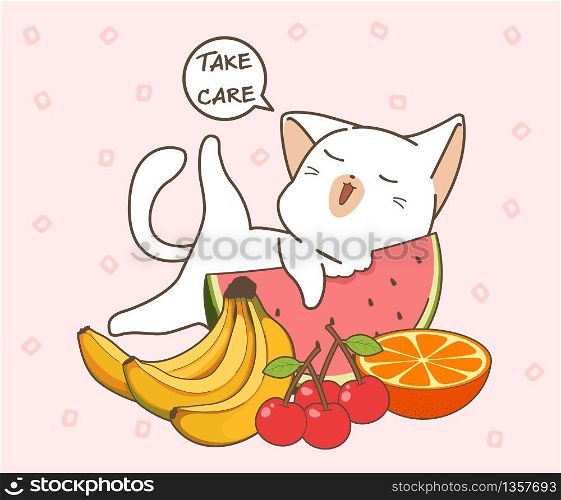Adorable healthy cat and fruits