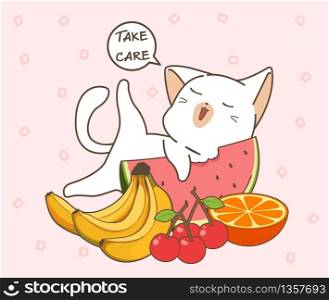 Adorable healthy cat and fruits