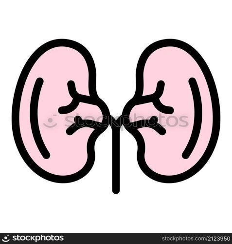 Adrenal kidney icon. Outline adrenal kidney vector icon color flat isolated. Adrenal kidney icon color outline vector
