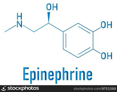 Adrenaline or adrenalin epinephrine molecule Vector Image