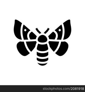 adult silkworm moths glyph icon vector. adult silkworm moths sign. isolated contour symbol black illustration. adult silkworm moths glyph icon vector illustration