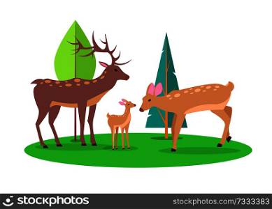 Adult stag and doe with their little fawn in forest cartoon style. Isolated vector illustration of deer family on white background. Deer Family in Woods Isolated Cartoon Illustration