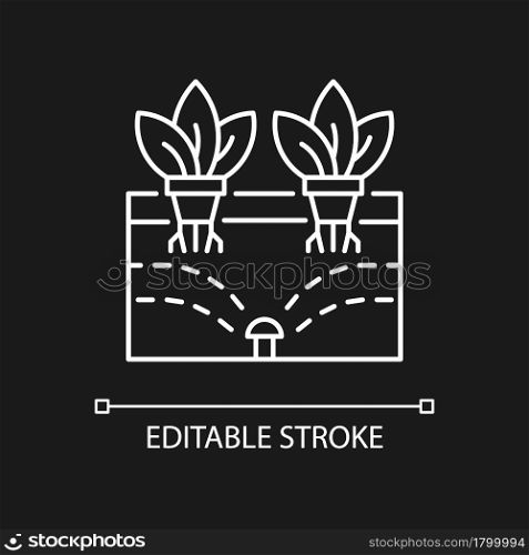 Aeroponics white linear icon for dark theme. Grow plants with air, water and nutrients. Thin line customizable illustration. Isolated vector contour symbol for night mode. Editable stroke. Aeroponics white linear icon for dark theme