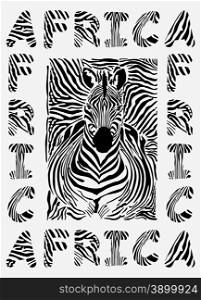 Africa - background with text and texture zebras