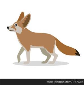 African animal, cute fennec icon isolated on white background, small funny fox, vector illustration in flat style. African animal, cute fennec icon isolated on white background, small funny fox, vector