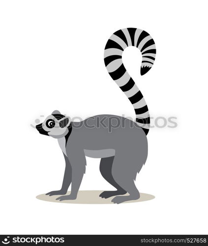 African animal, cute lemur with striped long tail icon isolated on white background, vector illustration in flat style. African animal, cute lemur with striped long tail icon isolated on white background, vector