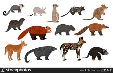 African animals set. Cartoon sugar glider, bilby quoll quokka otter red panda binturong coati dingo zoo creatures, wildlife characters collection isolated. African animals set