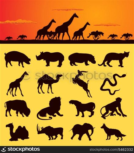 African animals2. Set of silhouettes of animals from africa. A vector illustration