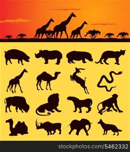 African animals2. Set of silhouettes of animals from africa. A vector illustration
