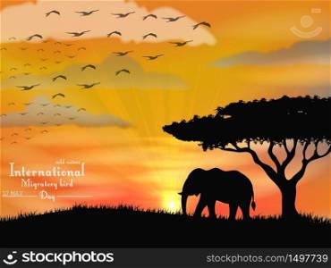 African elephant with flying birds on sunset sky.Vector