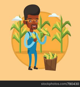 African farmer holding a corn cob on the background of corn field. Farmer collecting corn. Farmer standing near basket with corn. Vector flat design illustration in the circle isolated on background.. Farmer collecting corn vector illustration.