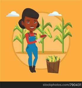African farmer holding a corn cob on the background of corn field. Farmer collecting corn. Farmer standing near basket with corn. Vector flat design illustration in the circle isolated on background.. Farmer collecting corn vector illustration.