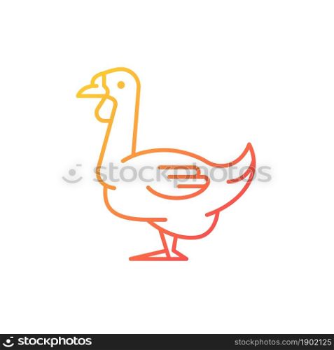 African goose gradient linear vector icon. Waterfowl. Domestic geese. Raising goslings. Brown goose. Thin line color symbol. Modern style pictogram. Vector isolated outline drawing. African goose gradient linear vector icon
