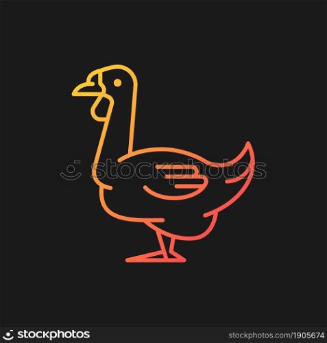 African goose gradient vector icon for dark theme. Waterfowl. Domestic geese. Commercial poultry farming for food. Thin line color symbol. Modern style pictogram. Vector isolated outline drawing. African goose gradient vector icon for dark theme