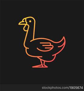 African goose gradient vector icon for dark theme. Waterfowl. Domestic geese. Commercial poultry farming for food. Thin line color symbol. Modern style pictogram. Vector isolated outline drawing. African goose gradient vector icon for dark theme