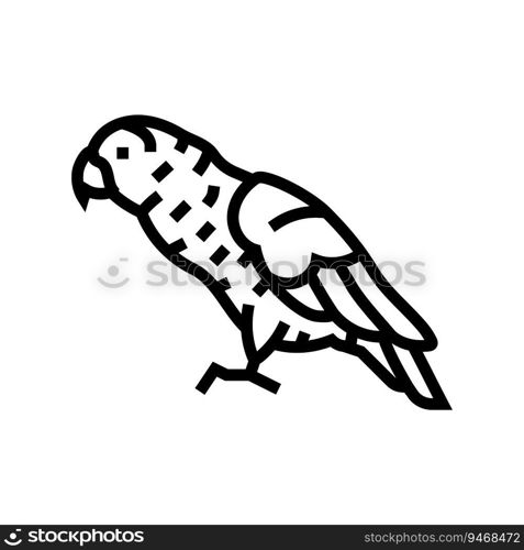 african grey  parrot bird line icon vector. african grey  parrot bird sign. isolated contour symbol black illustration. african grey  parrot bird line icon vector illustration