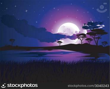African Night Landscape. Colorful night scene, african landscape with silhouette of trees.