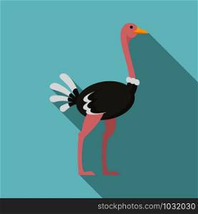 African ostrich icon. Flat illustration of african ostrich vector icon for web design. African ostrich icon, flat style