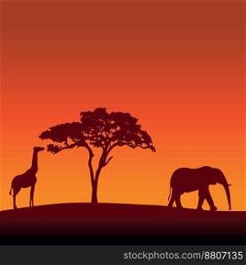 African safari silhouette background vector image