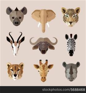 African southern animal portrait flat icons set with hyena elephant jaguar isolated vector illustration