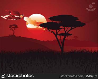 African Sunset Landscape. Colorful sunset scene, african landscape with silhouette of trees.