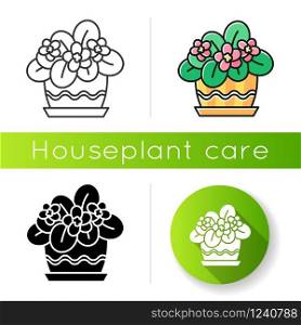 African violet icon. Blooming Saintpaulia. Indoor plant with pink flowers. Decorative flowering houseplant. Natural home, office decor. Linear black and RGB color styles. Isolated vector illustrations