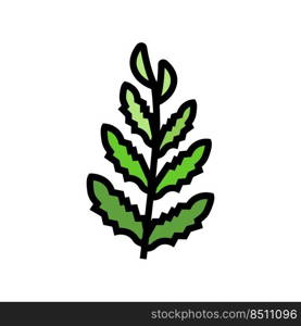 african water fern color icon vector. african water fern sign. isolated symbol illustration. african water fern color icon vector illustration