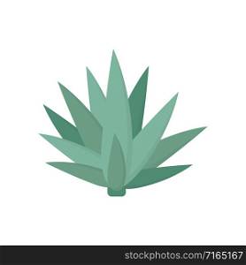 Agave icon flat style simple design. Vector eps10