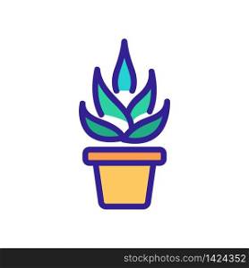 agave in home pot icon vector. agave in home pot sign. color symbol illustration. agave in home pot icon vector outline illustration