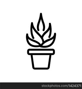 agave in home pot icon vector. agave in home pot sign. isolated contour symbol illustration. agave in home pot icon vector outline illustration
